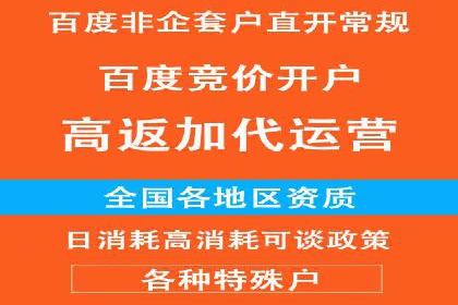 竞价排名技巧：如何有效进行网络推广